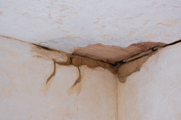 Best Ceiling water damage repair  in Mclendon Chisholm, TX