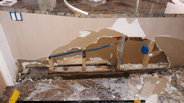 Best Carpet water damage restoration  in Mclendon Chisholm, TX