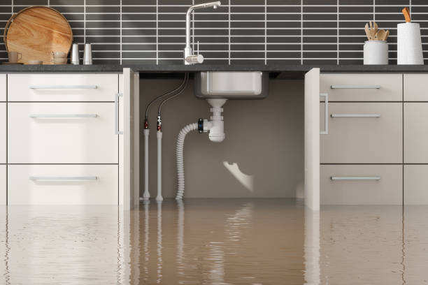 Best Flood restoration services  in Mclendon Chisholm, TX